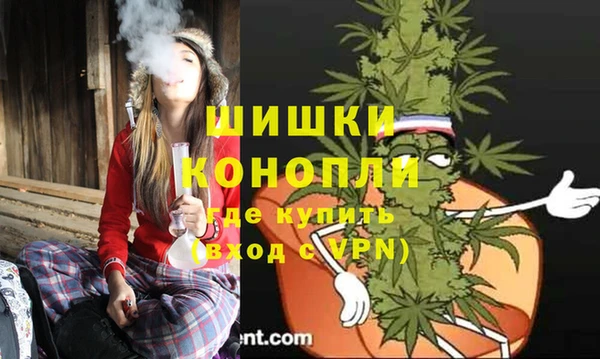 трава Арсеньев