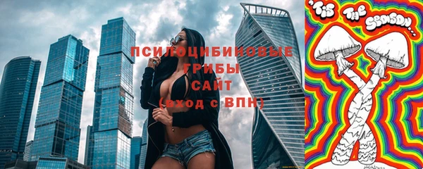 трава Арсеньев