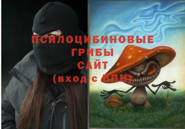 MDMA Premium VHQ Аркадак