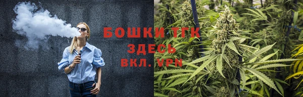 трава Арсеньев