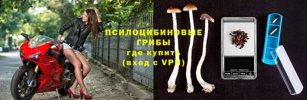 mdpv Пролетарск
